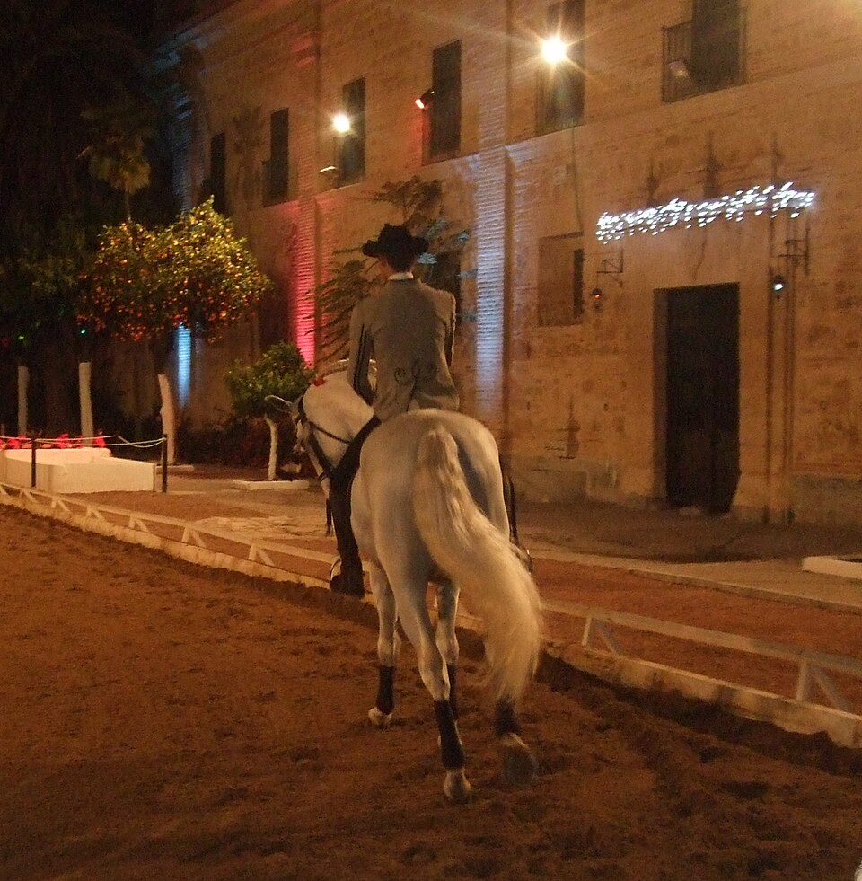 Son Amar — flamenco dinner show
